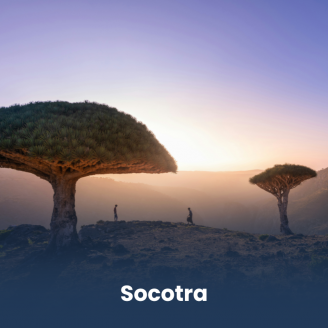 Socotra: The Hidden Paradise